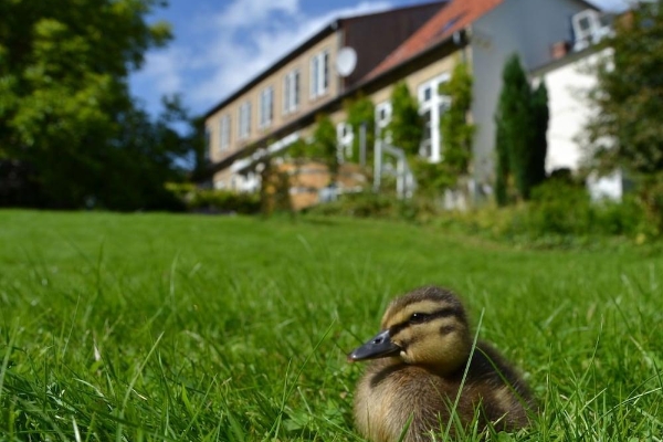 Hotel Det Gamle Apotek B&B